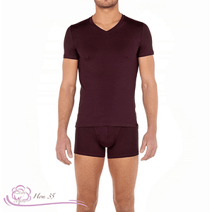 Tee-shirt homme eucalyptus de la marque HOM couleur bordeaux face - Lady-coton