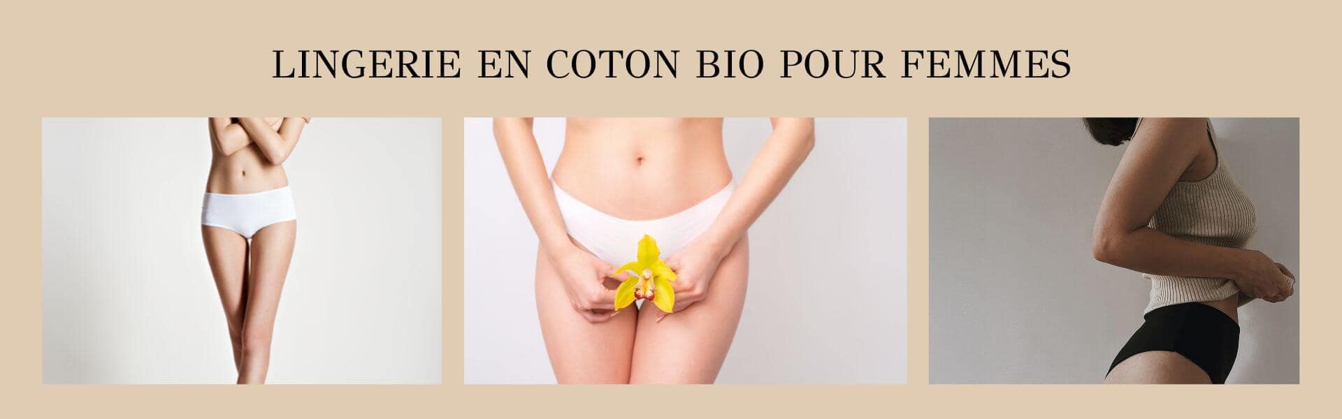 lingerie-en-coton-bio-pour-femmes-lady-coton image-slider-lingerie-coton-bio-pour-femmes