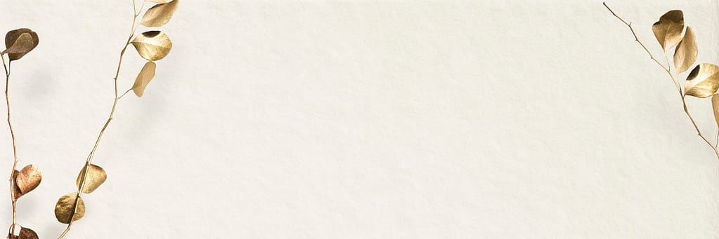 image slider de la page d'accueil lady coton